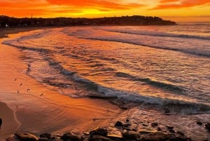 Sydney: Bondi Sunrise Yoga and Coastal Walking Tour