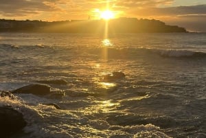 Sydney: Bondi Sunrise Yoga and Coastal Walking Tour