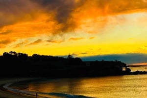 Sydney: Bondi Sunrise Yoga and Coastal Walking Tour