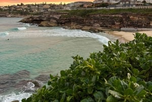 Sydney: Bondi Sunrise Yoga and Coastal Walking Tour
