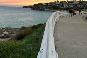 Sydney: Bondi Sunrise Yoga and Coastal Walking Tour