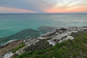Sydney: Bondi Sunrise Yoga and Coastal Walking Tour