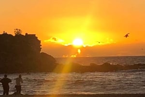 Sydney: Bondi Sunrise Yoga and Coastal Walking Tour