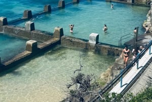 Sydney: Bondi Sunrise Yoga and Coastal Walking Tour