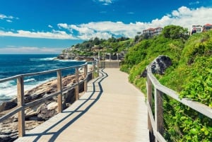 Sydney: Escursione da Bondi a Coogee con pranzo Ala Carte