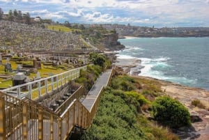 Sydney: Escursione da Bondi a Coogee con pranzo Ala Carte