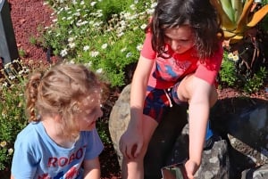 Sydney: Kasvitieteellinen puutarha itseohjattu seikkailumetsästys lapsille