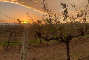 Sydney: Boutique-Weintour – Hunter Valley & Wollombi Valley