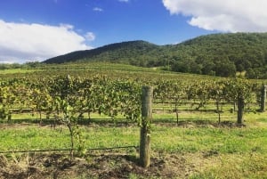Sydney: Boutique-Weintour – Hunter Valley & Wollombi Valley