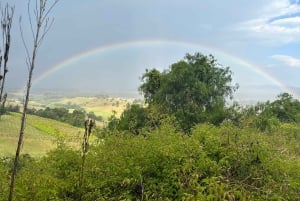 Sydney: Boutique-Weintour – Hunter Valley & Wollombi Valley