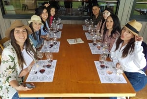 Sydney: Brewery, Winery, and Distillery Tasting Tour