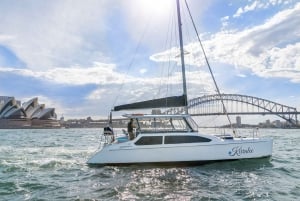 Sydney: Crociera Vivid Harbour con bevande proprie