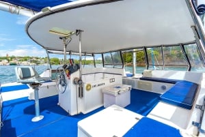 Sídney: Trae tu propia bebida Crucero por el puerto Vivid