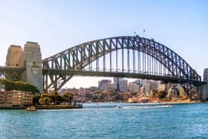 Sydney : Visite privée de luxe d'une demi-journée de la ville et de la plage de Bondi
