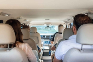 Sydney: City and Bondi Beach Private Luxury Half-Day Tour