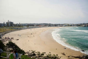 Sydney: Stadtführung und Bondi Beach Private Luxury Halbtagestour