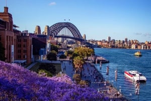 Sydney: Skattejagt i CBD - CBD's hemmeligheder