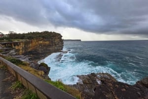 Sydney : visite d'une demi-journée des joyaux cachés de la ville