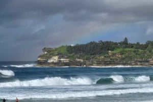 Sydney : visite d'une demi-journée des joyaux cachés de la ville