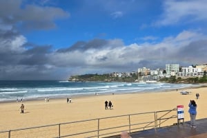 Sydney : visite d'une demi-journée des joyaux cachés de la ville
