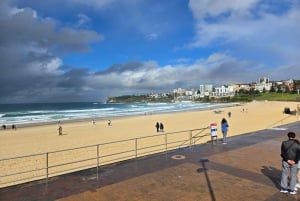 Sydney : visite d'une demi-journée des joyaux cachés de la ville