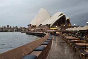 Sydney : visite d'une demi-journée des joyaux cachés de la ville