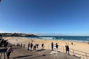 Sydney : visite d'une demi-journée des joyaux cachés de la ville