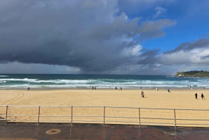 Sydney: Halvdagsutflykt till stadens dolda pärlor