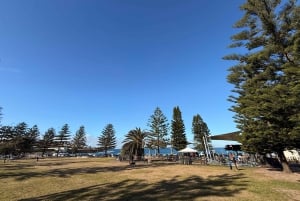 Sydney: Halvdagsutflykt till stadens dolda pärlor