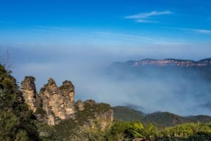 Sydney : excursion à terre pour découvrir les sites incontournables de la ville