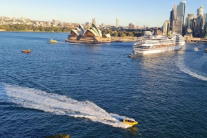 Sydney: Byrundvisning med seværdigheder