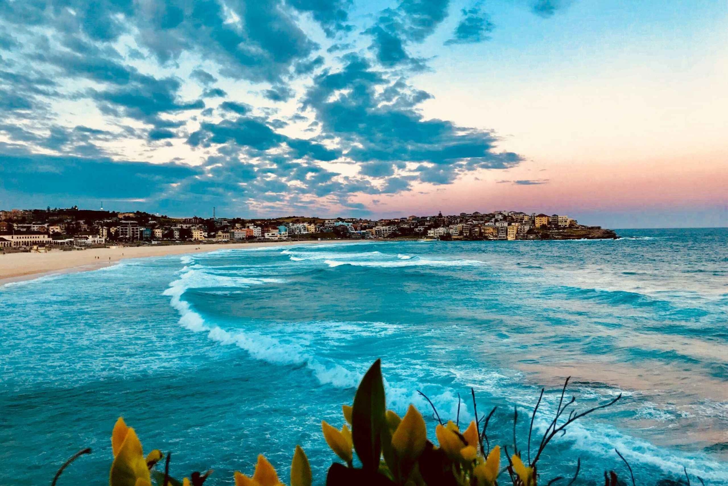 Halvdags tur til Sydney kystens høydepunkter og fergetur