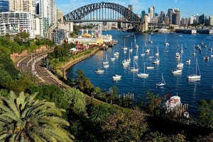 Sydneyn rannikon kohokohdat ja lauttamatka, puolen päivän kiertue