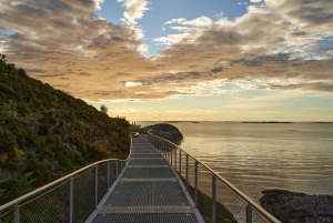 Halvdags tur til Sydney kystens høydepunkter og fergetur