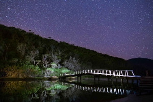 Halvdags tur til Sydney kystens høydepunkter og fergetur