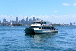 Sydney: Morning Sightseeing Bus to Bondi with Lunch Cruise