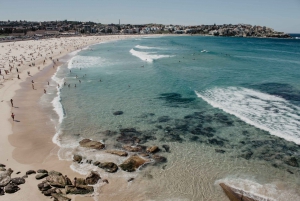 Sydney: Morning Sightseeing Bus to Bondi with Lunch Cruise