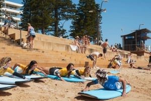Sydney Clase de surf en grupo en la playa de Dee Why