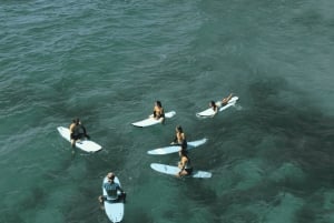 Sydney Clase de surf en grupo en la playa de Dee Why