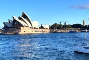 Sydney: Koirat kannella -satamaristeily