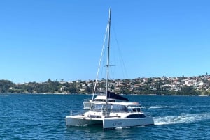Sydney: Koirat kannella -satamaristeily