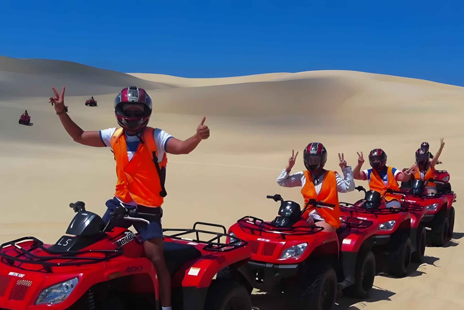 シドニー：ポートスティーブンスでのドルフィンウォッチングとサンドボード