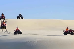 シドニー：ポートスティーブンスでのドルフィンウォッチングとサンドボード