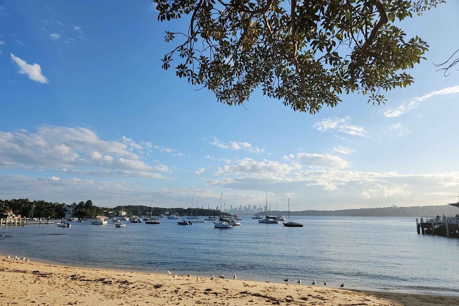 Tour della costa orientale di Sydney (privato)
