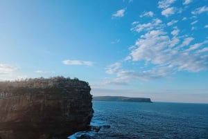 Tour della costa orientale di Sydney (privato)