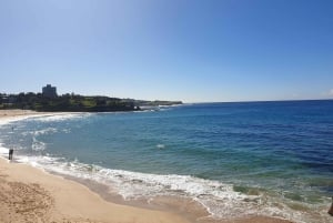 Tour della costa orientale di Sydney (privato)