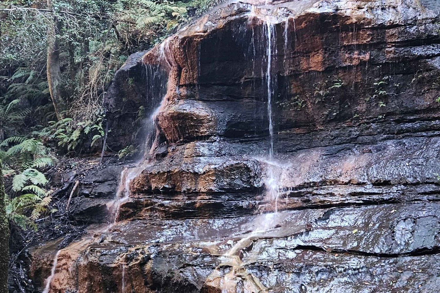 Sydney: Yksityinen Blue Mountains -kierros englanniksi tai saksaksi
