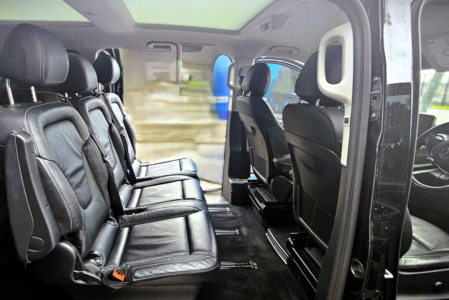 Sydney: tour privato delle Blue Mountains in inglese o tedesco