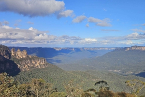 Sydney: tour privato delle Blue Mountains in inglese o tedesco