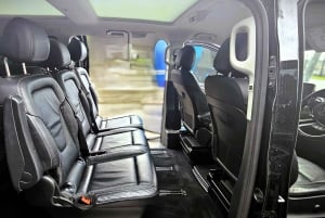 Sydney: tour privato delle Blue Mountains in inglese o tedesco